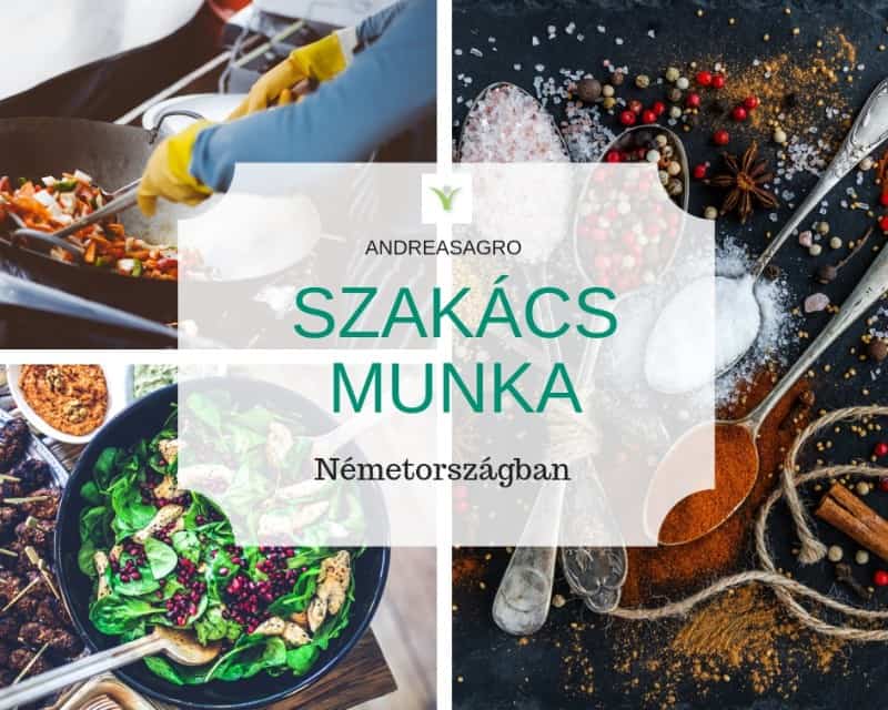 Szakacs Munka | Kulfoldi Munka | AndreasAgro